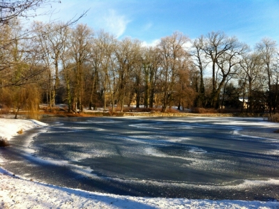 Küchenteich im Stadtpark in Golßen