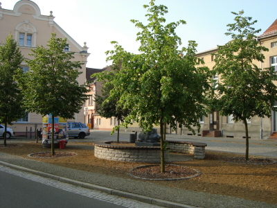 Lindenplatz Golßen